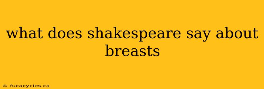 what does shakespeare say about breasts