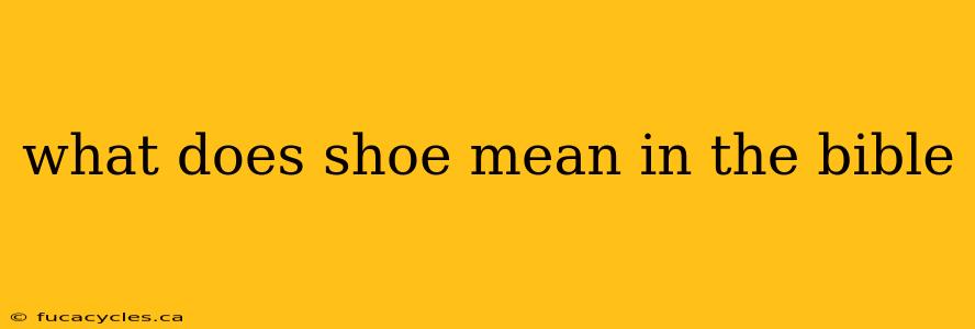 what does shoe mean in the bible