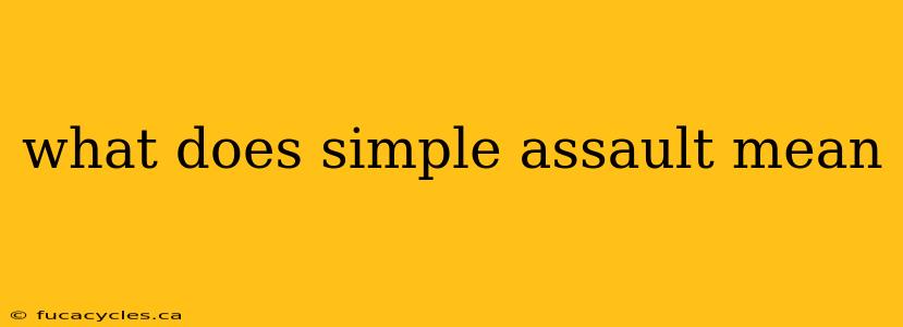 what does simple assault mean