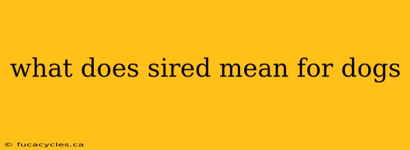 what does sired mean for dogs