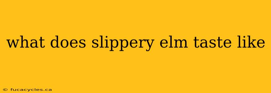 what does slippery elm taste like