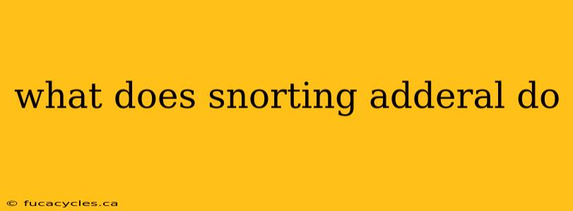 what does snorting adderal do