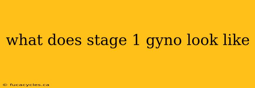 what does stage 1 gyno look like