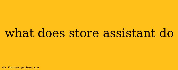 what does store assistant do