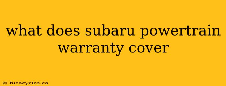 what does subaru powertrain warranty cover