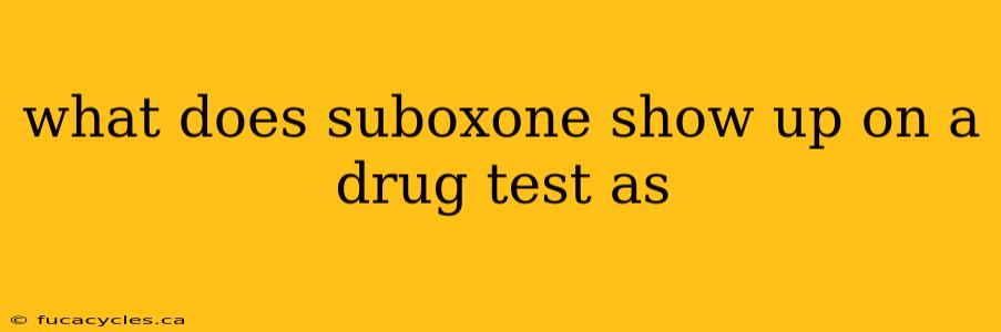 what does suboxone show up on a drug test as