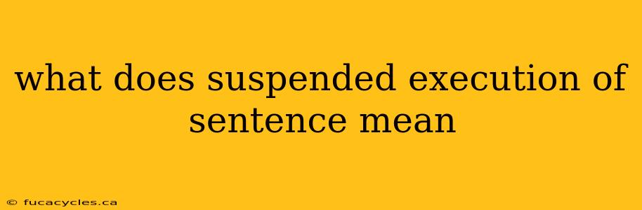 what does suspended execution of sentence mean