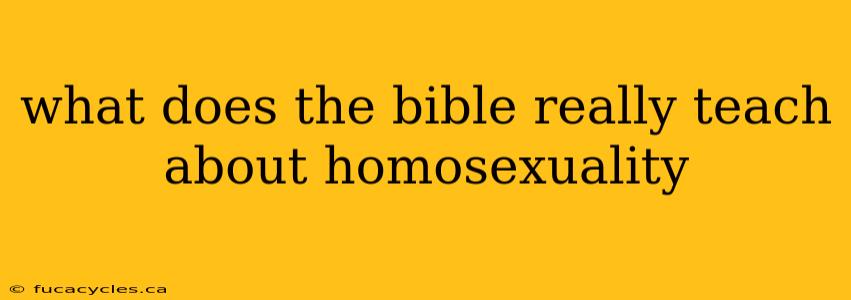 what does the bible really teach about homosexuality