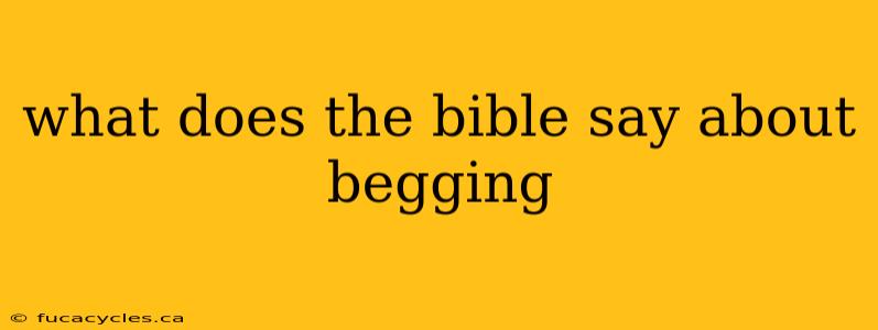 what does the bible say about begging