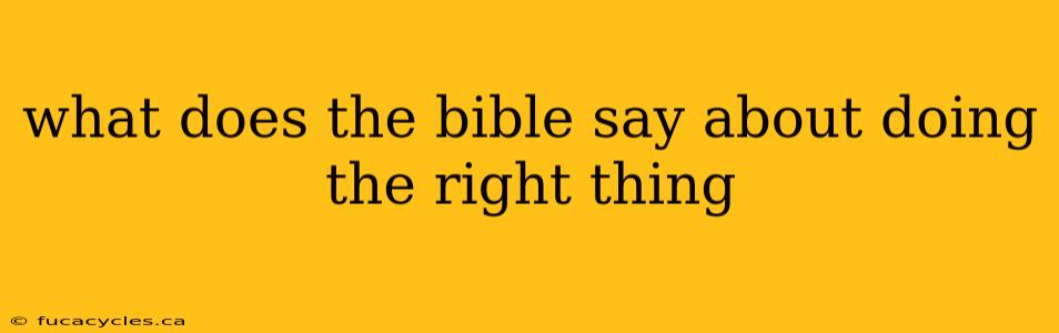 what does the bible say about doing the right thing