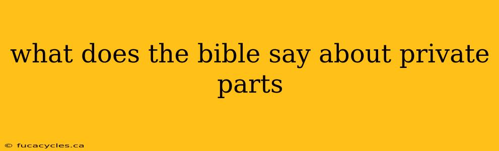 what does the bible say about private parts