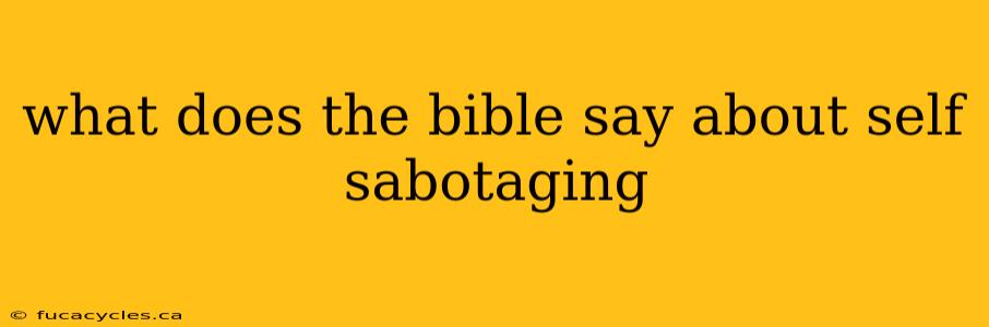 what does the bible say about self sabotaging