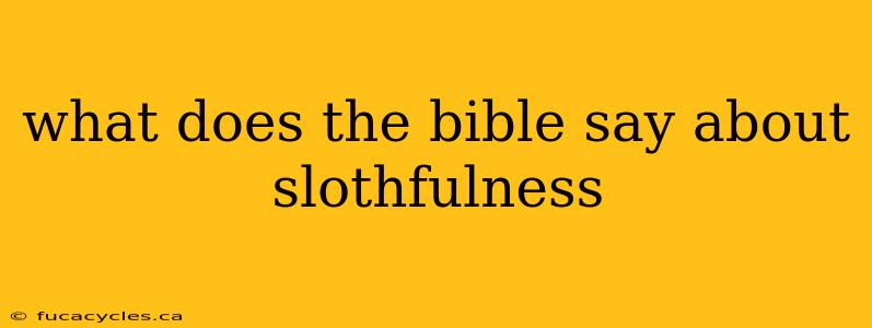 what does the bible say about slothfulness