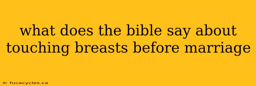 what does the bible say about touching breasts before marriage