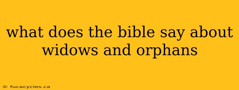 what does the bible say about widows and orphans