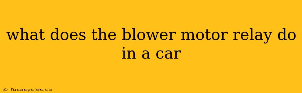 what does the blower motor relay do in a car