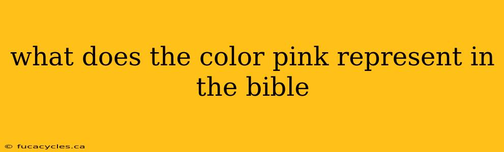 what does the color pink represent in the bible