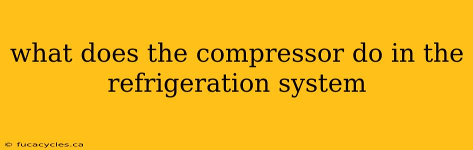 what does the compressor do in the refrigeration system