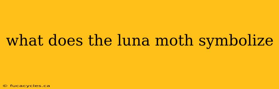 what does the luna moth symbolize