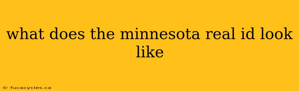 what does the minnesota real id look like