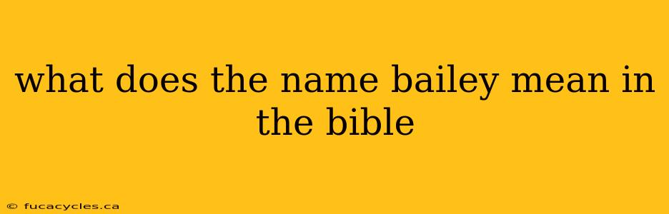 what does the name bailey mean in the bible