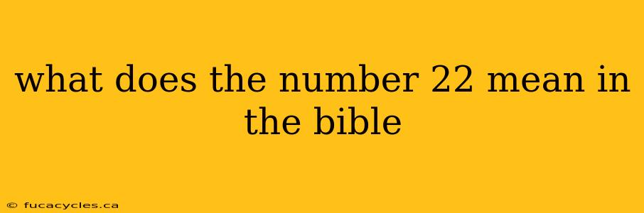 what does the number 22 mean in the bible