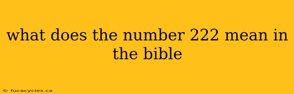 what does the number 222 mean in the bible