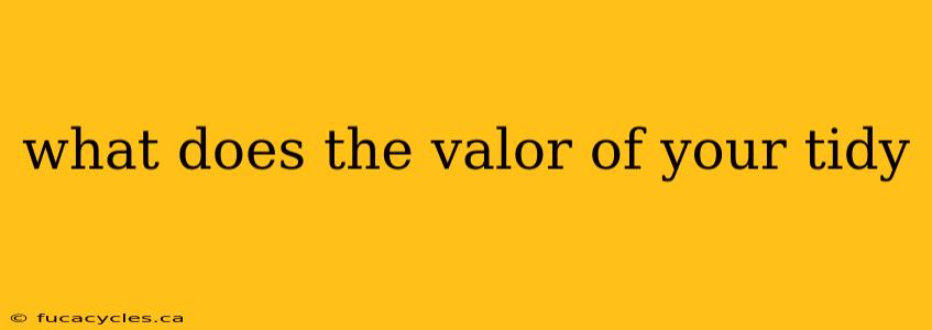 what does the valor of your tidy