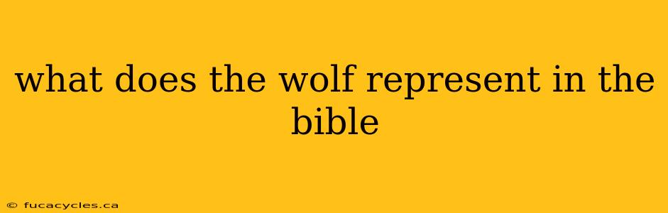 what does the wolf represent in the bible