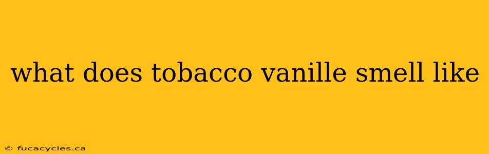 what does tobacco vanille smell like