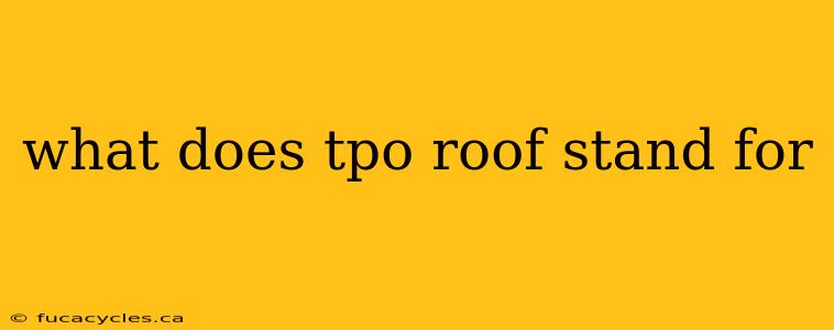 what does tpo roof stand for