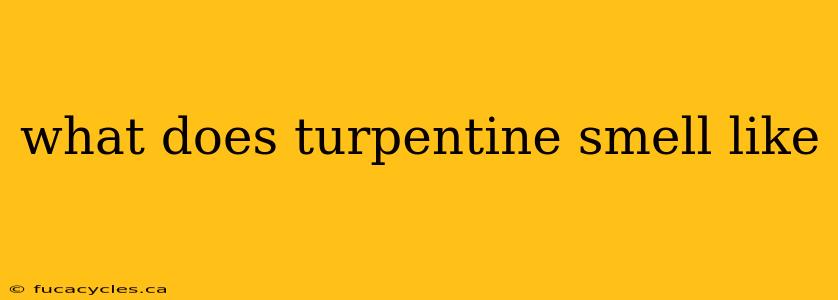 what does turpentine smell like