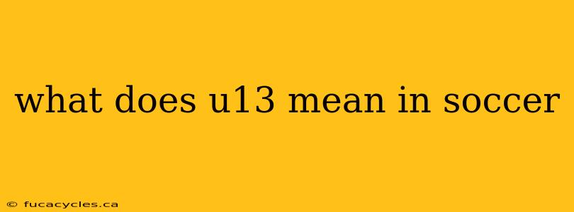 what does u13 mean in soccer