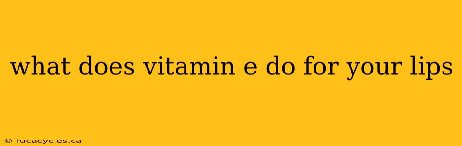 what does vitamin e do for your lips