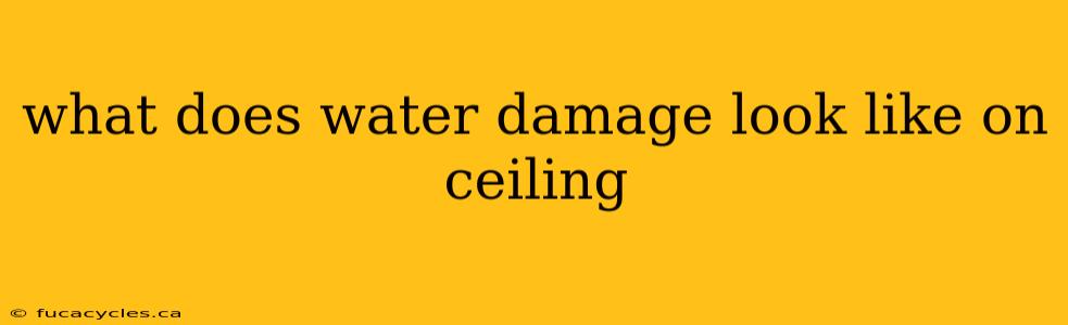 what does water damage look like on ceiling