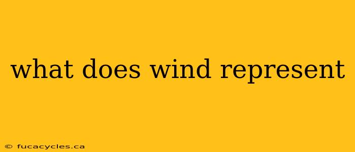 what does wind represent