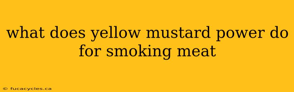 what does yellow mustard power do for smoking meat