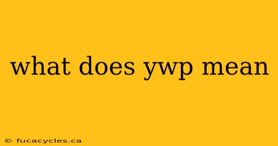 what does ywp mean