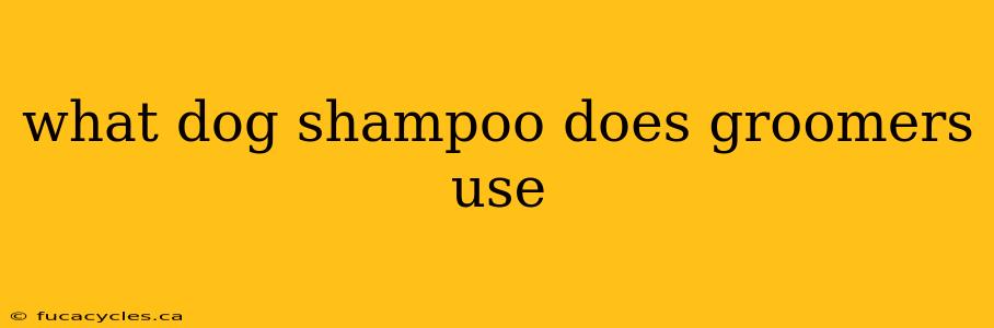 what dog shampoo does groomers use