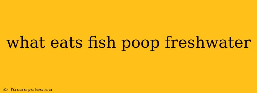 what eats fish poop freshwater