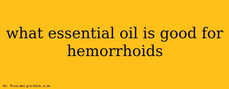 what essential oil is good for hemorrhoids