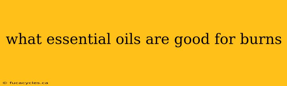 what essential oils are good for burns