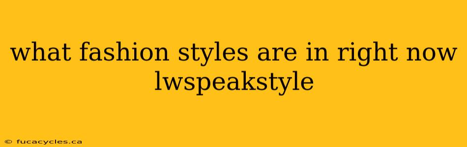 what fashion styles are in right now lwspeakstyle