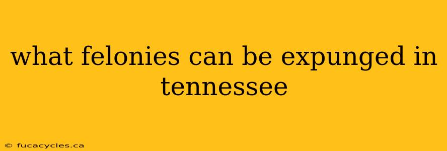 what felonies can be expunged in tennessee