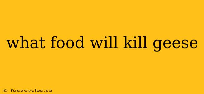 what food will kill geese