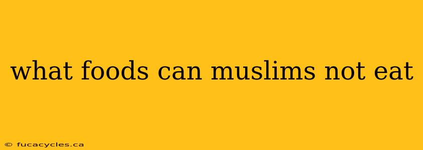 what foods can muslims not eat