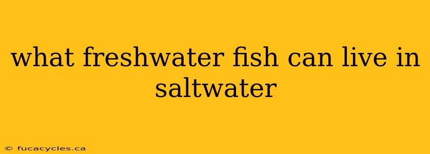 what freshwater fish can live in saltwater