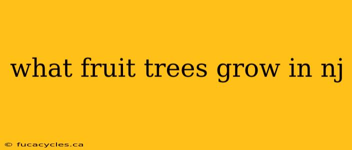 what fruit trees grow in nj