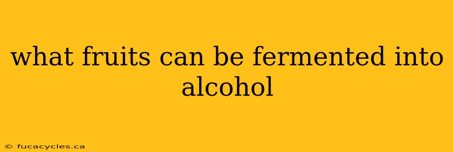 what fruits can be fermented into alcohol