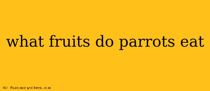 what fruits do parrots eat